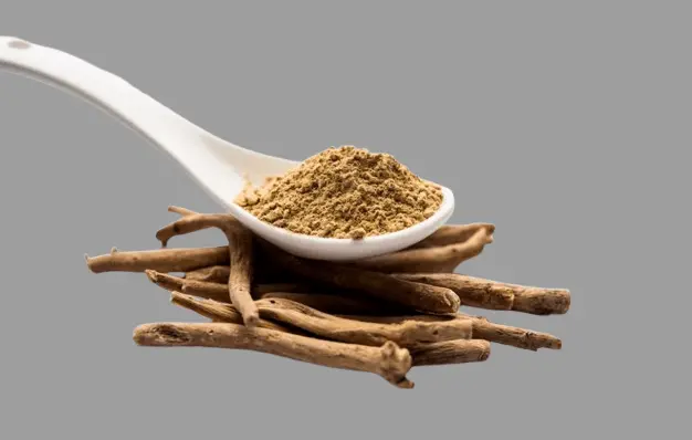 اسگندھ ناگوری کے فوائد
